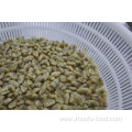 Short Neck Frozen Boiled Clam For Canned Clam